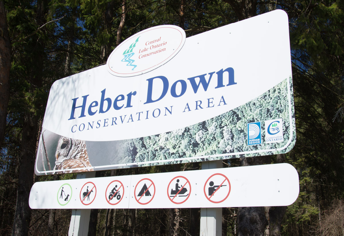 Discover perfect natural beauty in the 284 hectares of the Heber Down Conservation Area and enjoy kilometres of walking & hiking trails, stunning picnic areas, a menagerie of curious critters and more.